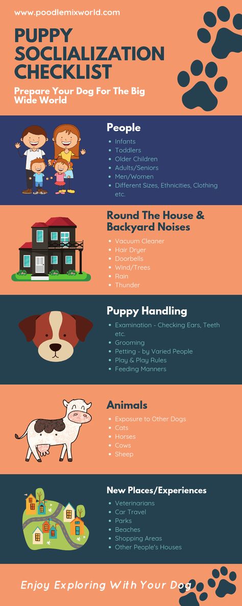 Puppy Schedule, Puppy Training Schedule, New Puppy Checklist, Puppy Checklist, Socializing Dogs, Puppy Socialization, Puppy Time, Puppies Tips, Potty Training Puppy