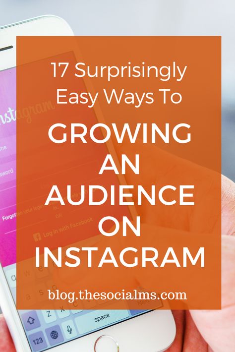 17 Surprisingly Easy Ways To Growing An Audience On Instagram Talk To Strangers, Good Instagram Captions, Instagram Branding, Business Administration, Follow You, Instagram Tips, Instagram Marketing, Social Media Tips, Instagram Captions