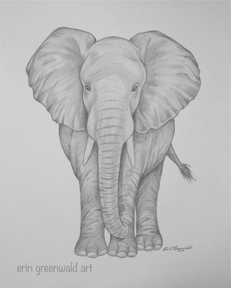 Elephant Drawing Reference, Cute Elephant Drawings Simple, African Elephant Drawing, Elephant Sketch Simple, Elephant Drawing Pencil, Elephant Drawing Realistic, Elephant Drawing Simple, Drawings Of Elephants, Elephant Sketches