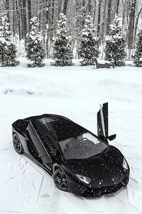 Snow Aventador Lamborghini Lamborghini, Luxury Boat, Super Sport Cars, Motor Bikes, Italian Cars, E Type, Latest Cars, Expensive Cars, Black Car