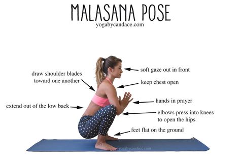 Malasana Pose, Garland Pose, Yoga Kundalini, Yoga Beginners, Frosé, Beginner Yoga, Yoga Positions, Yoga Iyengar, Ju Jitsu