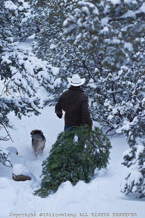 Fresh Cut Christmas Trees, Cowboy Christmas, Winter Beauty, Winter Wonder, Noel Christmas, Fresh Cut, Baby Cold, Country Christmas, The Ranch