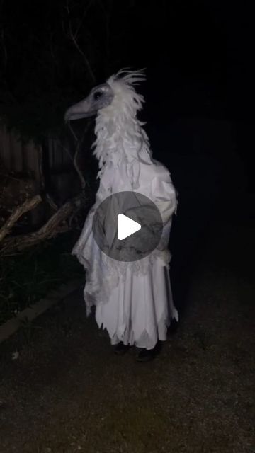 Miss Twisted on Instagram: "These silly guys started flooding my Tiktok feed and so I made a super last minute costume inspired by the Erosion Birds, this was like a day and a half total, and it's all cardboard, paper mache, hot glue, fabric and fur. Super easy stuff! (In fact I'm gonna put a tutorial out next week for it since a few people are asking about the neck/head movement!) Tutorial is going to be posted on my Patreon but will be visible for everyone (you don't have to be a paid member Scary Bird Costume, Erosion Bird, Bird Science, Cardboard Paper Mache, Scary Birds, Last Minute Costume, Bird Costume, Mask Tutorial, Last Minute Costumes