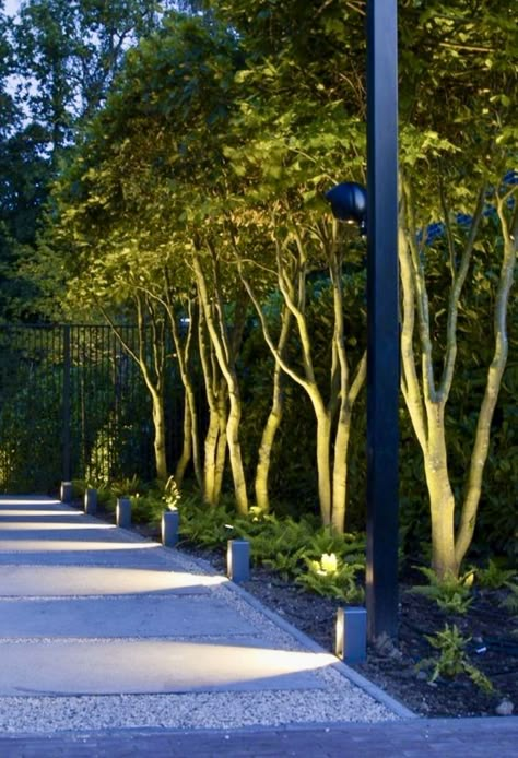 Path Lighting Ideas, Path Lighting, Outside Lighting, Lighting Landscape, Driveway Lighting, Landscape Lighting Design, Driveway Entrance, Outdoor Path Lighting, Outdoor Lighting Ideas