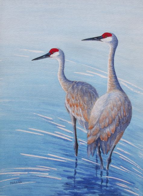 Sandhill Crane, 'On Alert',  nature, wildlife, Watercolor, art, water birds, cranes, painting, watercolor painting of Sandhill cranes. Crane Watercolor Paintings, Sandhill Crane Painting, Sandhill Cranes Art, Sandhills Crane, Cranes Painting, Crane Watercolor, Budgie Art, Crane Painting, Crane Drawing