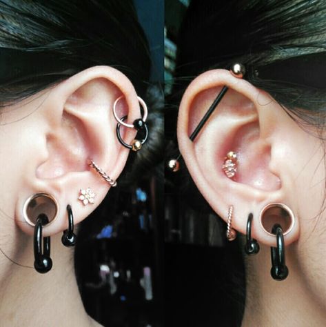 Black and Rose Gold - Do they go well together? Gauges With Ear Piercings, Ear Piercings With Stretched Ears, Black And Gold Piercings, Ear Piercing Ideas With Stretched Ears, Ear Piercings Stretched Ears, Stretch Ear Piercing, Gauges And Ear Piercings, Ear Piercing Ideas With Gauges, Guages With Earring