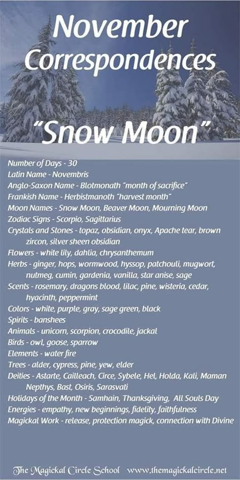 Monthly Correspondences, Moon Correspondences, Full Moon Names, Moon Zodiac, Snow Moon, Moon Meaning, Moon Names, Witchy Tips, Wiccan Crafts