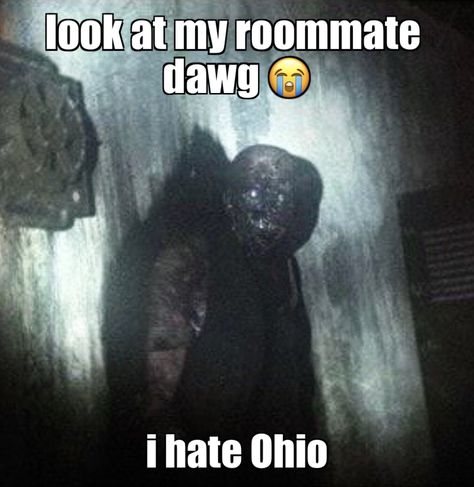 Cursed Scp Images, Scp Foundation Memes, Ohio Jokes, Scp Memes Funny, Ohio Memes Funny, Scp 2521, Scp Aesthetic, Scp 106, Scp 1471