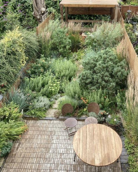 Courtyard Plants, Small Urban Garden, Australian Garden Design, Ferns Garden, Australian Garden, Garden Architecture, Veg Garden, Home Landscaping, Native Garden