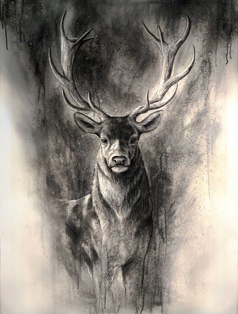 Charcole Drawings Charcoal Artists, Deer Charcoal Drawing, Charcoal Wildlife Art, Charcoal Artwork Sketches, Charcoal Art Animals, Charcole Sketch, Charcoal Sketches Realistic, Charcoal Tattoo, Sketch Painting Pencil