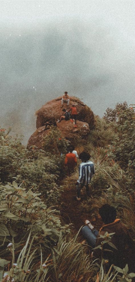 Hill Top,  kerala,  forest,  vibe,  tourist spot,  tourism, Black Vibes, Top Wallpaper, Into The Forest, Kerala Tourism, Munnar, Forest Photography, Tourist Spots, Rumi, The Forest