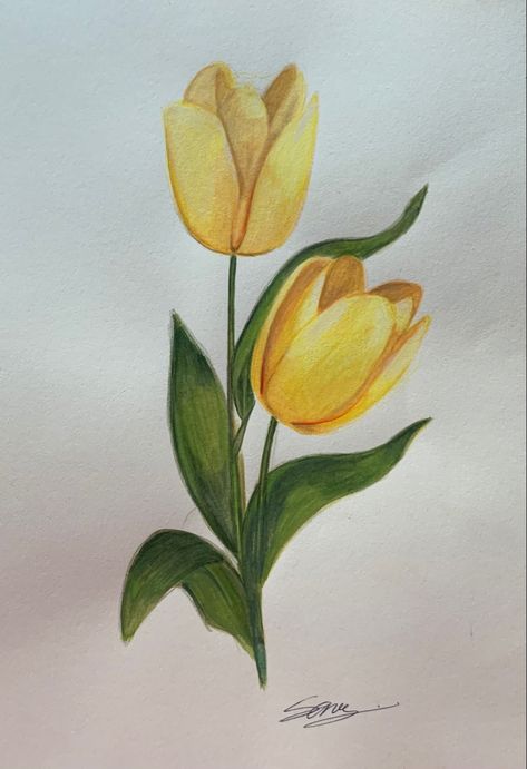 Yellow Tulip drawings from Lidy Tulip Drawings, Tulip Drawing, Yellow Tulips, Craft Patterns, Pictures To Draw, 그림 그리기, Flower Drawing, Tulips, Cool Pictures