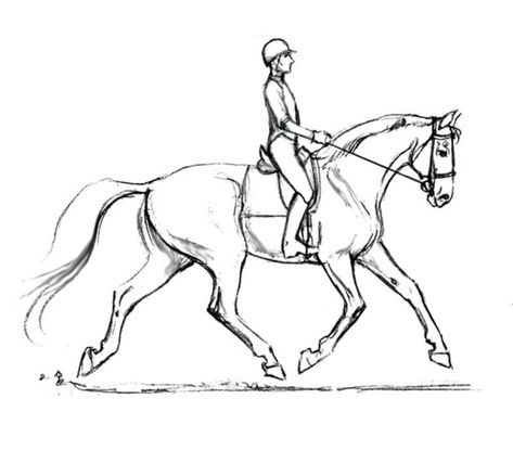 How to Optimize Your Dressage Horse's Soundness from the Saddle | Dressage Today Horse Lineart, Horse Sketches, Ride Drawing, Horse Art Drawing, Horse Sketch, Horse Dressage, Horse Coloring Pages, Dressage Horses, Celebrity Drawings