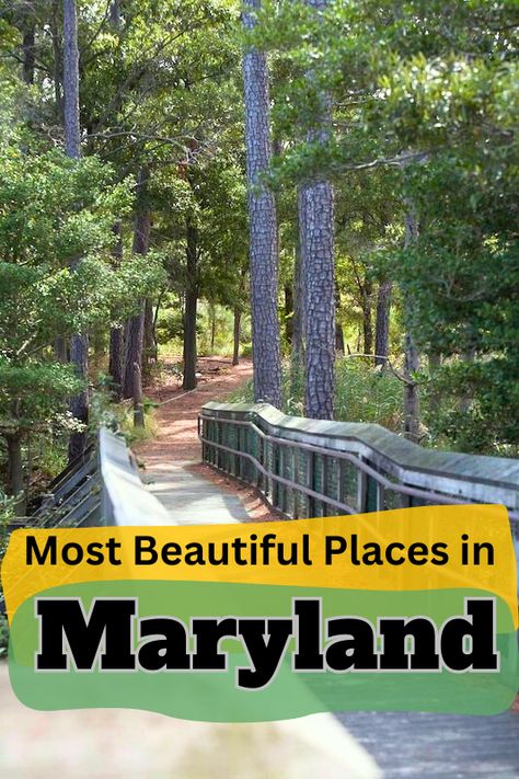 12 Most Beautiful Places in Maryland to Visit - Global Viewpoint Maryland Travel Places To Visit, Saint Michaels Maryland, Visit Maryland, Deep Creek Lake, Virginia Travel, Mountain Park, Scenic Byway, Beautiful Park, Beautiful Places To Visit