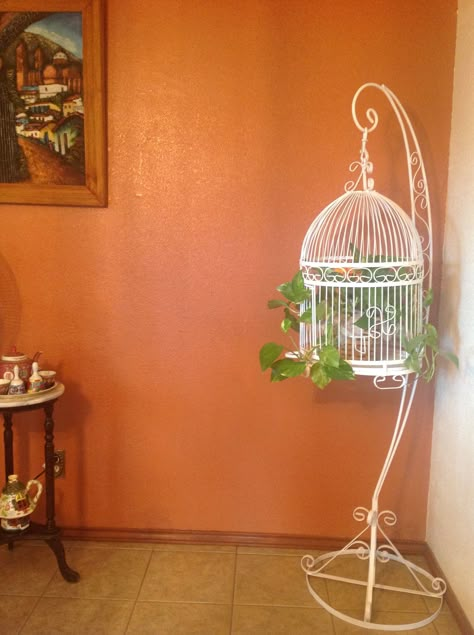 Aesthetic Bird Cage, Diy Bird Cage Decoration, Cute Bird Cage, Birdcage Planter, Antique Bird Cages, Small Bird Cage, Hanging Bird Cage, Interior Design Your Home, Bird Cage Decor