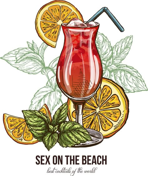 Cocktail With Mint, Cocktails Drawing, Cocktails Clipart, Cocktail Images, Mint Cocktails, Cocktails Vector, Vintage Cocktails, Beach Drawing, Cocktail Illustration