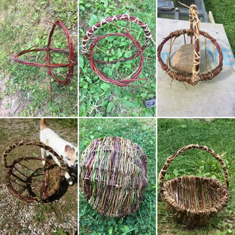 Grape Vine Basket Weaving, Diy Willow Basket, Diy Harvest Basket, Wild Weaving, Foraging Basket, Leaf Art Diy, Pine Needle Crafts, Basket Willow, Gathering Basket