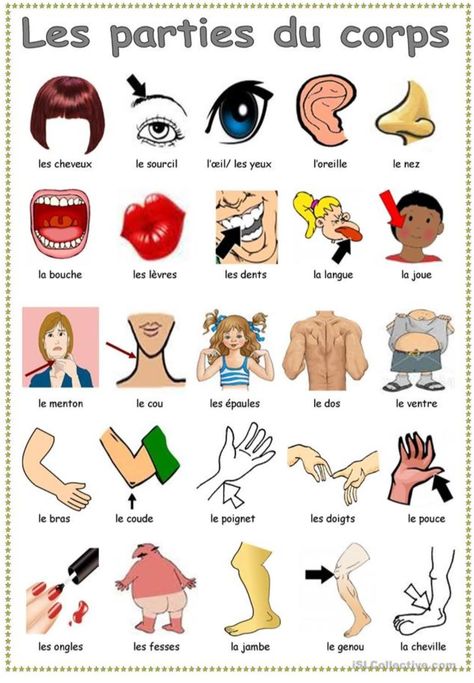 French Preschool Activities, French Body Parts, French Language Learning Kids, French Lessons For Beginners, French Language Basics, Learning French For Kids, French Basics, French Alphabet, French Flashcards