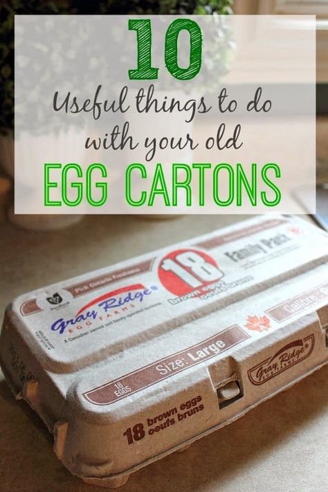 It's amazing just how many ways you can use the humble egg carton! Fun tips! Egg Cartons, Egg Carton Crafts, Useful Things, Repurposed Items, Upcycle Recycle, Egg Carton, Upcycled Crafts, Household Tips, Recycled Crafts