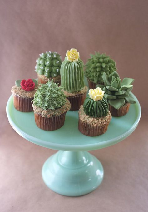 cactus cupcake video Plant Cupcakes, Cupcakes Succulents, Country Cupcakes, Perfect Cupcake Recipe, Cactus Cupcakes, Christmas Tree Brownies, Succulent Cupcakes, Cupcake Tutorial, Cactus Party