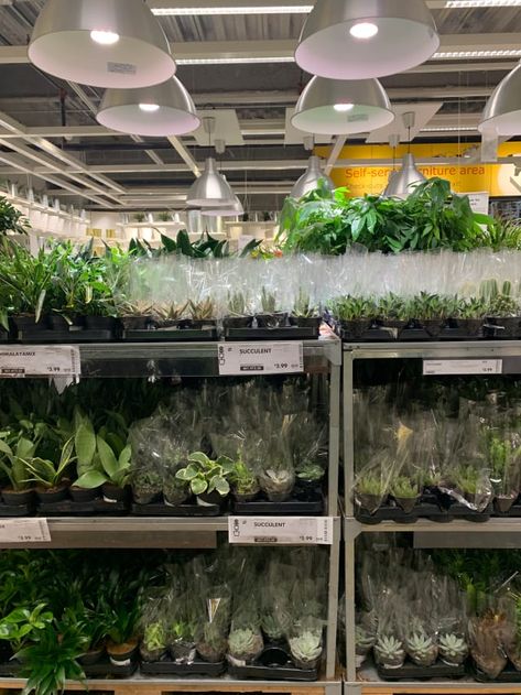 6 Things You Didn't Know About IKEA's Plant Department Ikea Indoor Garden, Ikea Plant Stand, Ikea Plants, Plant Centerpieces, Plant Display Ideas, Indoor Plants Styling, Indoor Plant Wall, Hanging Gardens, Hanging Plant Wall