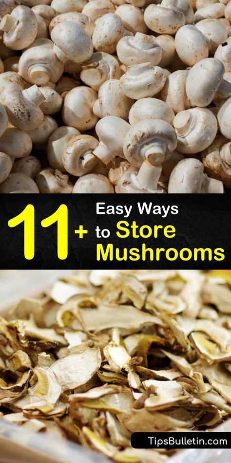 How To Freeze Mushrooms How To Store, How To Preserve Mushrooms, How To Store Fresh Mushrooms, Freezing Fresh Mushrooms, Freeze Mushrooms How To, Freeze Dried Mushrooms, Storing Mushrooms In Fridge, How To Freeze Fresh Mushrooms, Store Mushrooms In Fridge