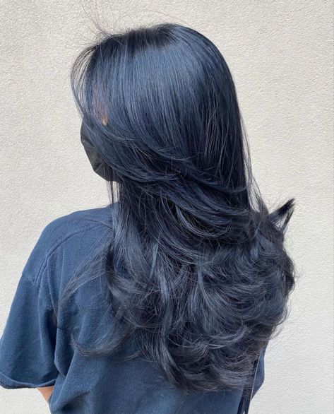 Black Bluish Hair, Midnight Blueberry Black Hair, Black Blueish Hair, No Bleach Blue Hair, Dark Blue Tint Hair, Blue Toned Black Hair, Blue Black Wolfcut, Dark Silver Blue Hair, Black Navy Hair