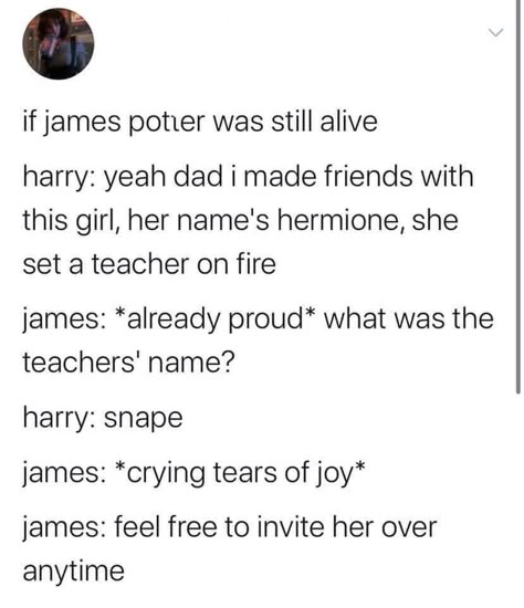 Remus Lupin X Reader, Memes Movie, Funny Harry Potter Jokes, Harry Potter Memes Hilarious, Gay Harry Potter, Harry Potter Feels, Harry Potter Puns, Images Harry Potter, Harry Potter Comics