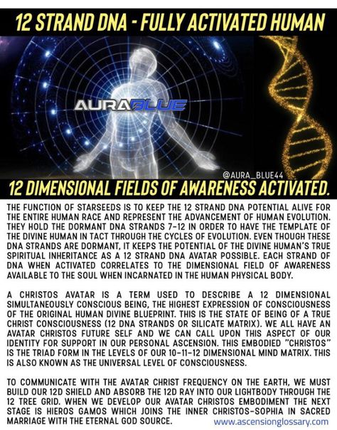 Quantum Physics Spirituality, Quantum Consciousness, Energy Consciousness, Chakra Health, Metaphysical Spirituality, Parapsychology, Spiritual Psychology, Sacred Science, Cool Science Facts