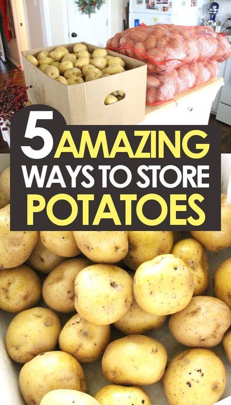 How to store potatoes long term, 5 different ways! Recipes for each method for storing potatoes at home! #Recipes #Homesteading #FoodPreservation Garden Potatoes, Storing Potatoes, Canning Potatoes, Preserving Vegetables, Potato Storage, Canned Potatoes, Making French Fries, Storing Vegetables, How To Store Potatoes