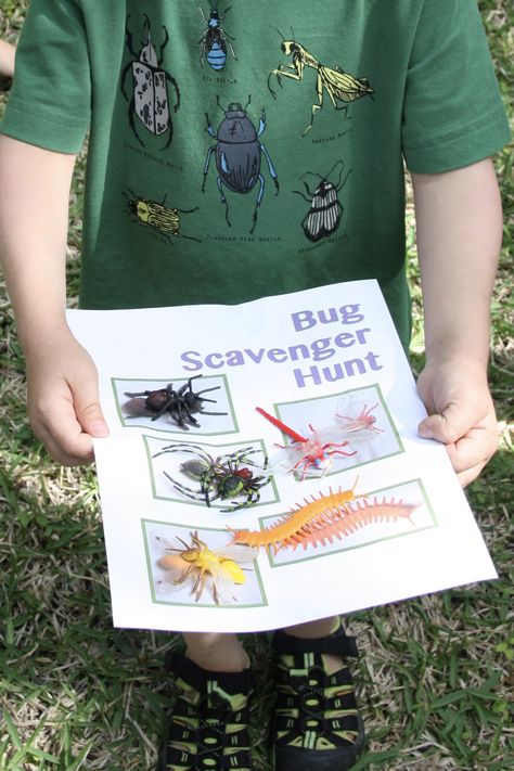 Bug Hunt Activities, Insect Birthday Party Games, Bug Themed Games, Bug Birthday Games, Reptile Party Activities, Bug Themed Snacks, Bug Party Games, Kids Fairy Garden Party, Bug Themed Food