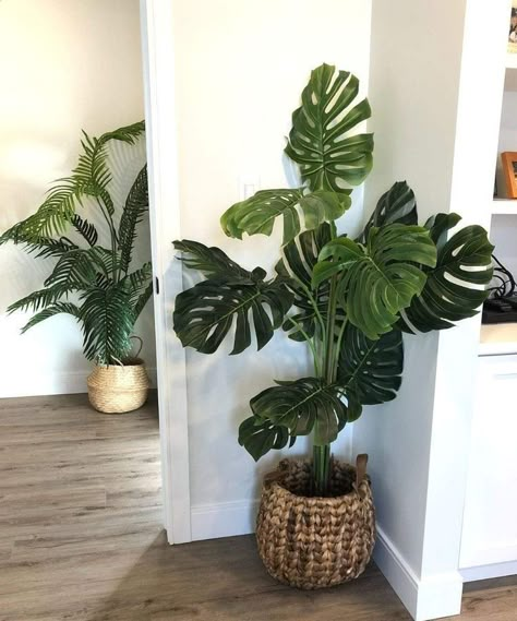 Aesthetic Plant Pot, Artificial Plants Indoor Decor, Tropical Plants Indoor, Monstera Decor, Artificial Indoor Plants, Wall Hanging Decorations, Cute Plants, Handwoven Baskets, Indoor Plant Wall