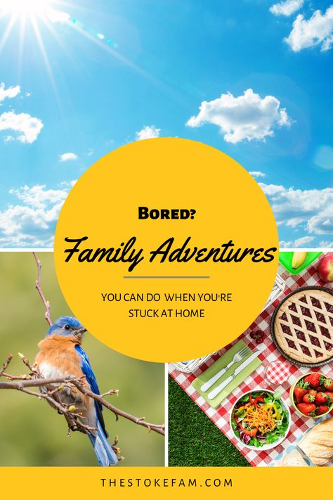 Bored at home? Looking for ideas to keep everyone entertained? Check out this list of over 55 things to do when bored to keep kids, teens, and families busy. With things to do inside, outside, to inspire travel, learn a new game, or learn about nature, there's something for everyone in this list. #quarantine #thingstodo #homeschool2020 #activities Things To Do Inside, Homeschool Field Trips, Wanderlust Photography, Adventure Tourism, Vacation Activities, Adventure Vacation, Adventure Inspiration, Things To Do When Bored, Family Outdoor