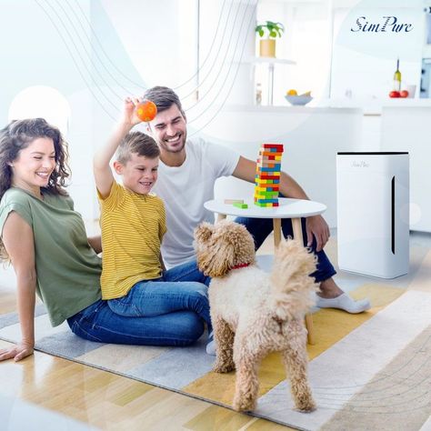 Pets are not just pets 🐶🐱🐹🐰 They are your best friends, family even, so always give them the love they deserve. Give them extra attention and a tight but comforting hug to let them feel how special they are. ⁣ ⁣ Are you worried about allergic reactions? It’s no biggie when you have the pet-friendly HP8 air purifier at home. Comforting Hug, Hepa Air Purifier, Filter Air, Hepa Filter, Air Cleaner, Air Purifier, Pet Hair, Air Filter, Bedroom Office