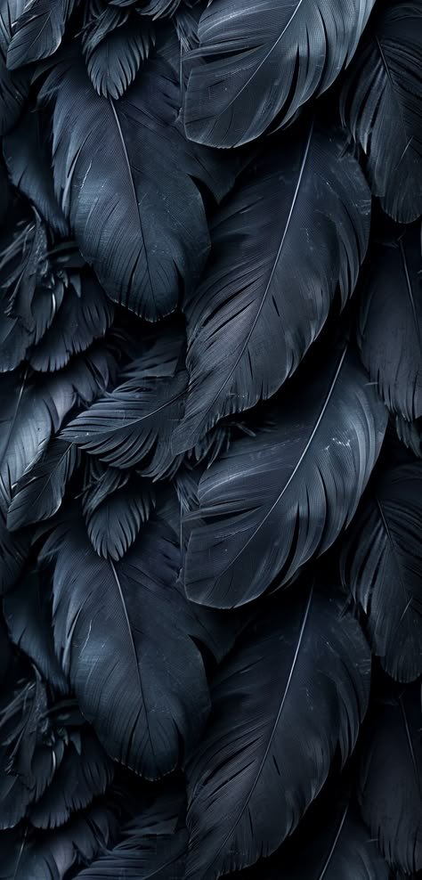 feathers Black Feathers Background, Black Feather Aesthetic, Black Velvet Background, Feather Background Wallpapers, Black Feathers Aesthetic, Black Obsidian Aesthetic, Black Mood Aesthetic, Dark Alternative Aesthetic, Feathers Aesthetic