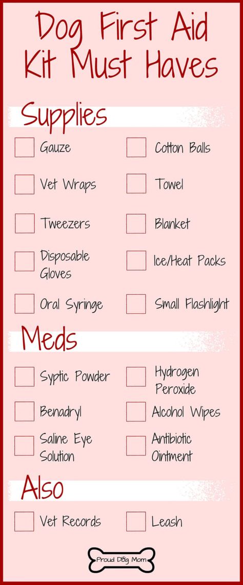 First Aid Kit Essentials, Dog First Aid Kit, Dog First Aid, Pet First Aid, Dog Infographic, Diy First Aid Kit, Diy Tumblr, Dog Health Tips, Food Dog