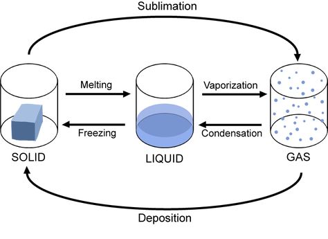 Phase Changes Of Matter, Changes In Matter, Science Diagrams, Properties Of Matter, Matter Science, 7th Grade Science, Water Drawing, States Of Matter, Science Worksheets