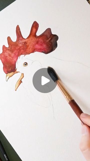 Watercolor Chicken, Rooster, Chicken, On Instagram, Instagram