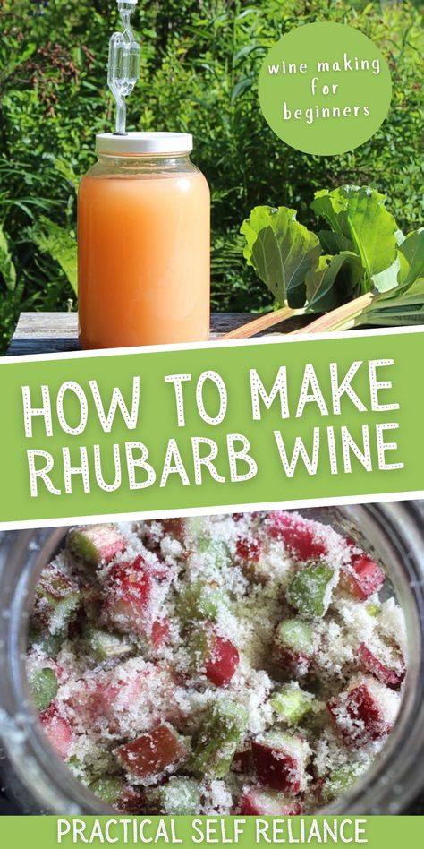 How to Make Rhubarb Wine: Wine Making for Beginners - One of the best ways to preserve rhubarb in the spring is in a delicious homemade wine! Learn how to make wine at home with this easy wine recipe! spring seasonal recipes | spring seasonal drink recipes | fermented drinks recipes Easy Wine Recipes, Make Wine At Home, Easy Rhubarb Recipes, Rhubarb Wine, How To Make Wine, Wine Making Recipes, Making Honey, Wine At Home, Fermented Drinks