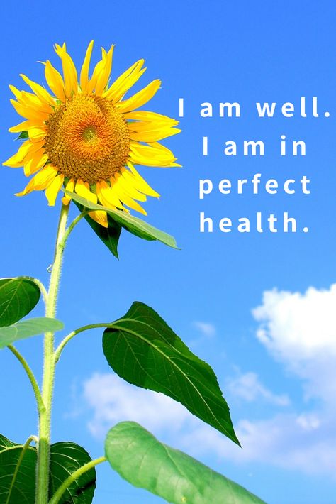 Perfect Health Affirmations, Word Affirmation, Affirmations For Health, 100 Affirmations, I Am Healthy, Success Board, Louise Hay Affirmations, Vision Board Success, Archangel Prayers