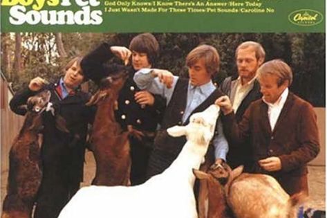 Pet Sounds - Rolling Stone The Beach Boys Wallpaper, Pet Sounds Beach Boys, 80s Musicians, 70s Artists, Carl Wilson, Pet Sounds, Brian Wilson, Rare Vinyl Records, Concept Album