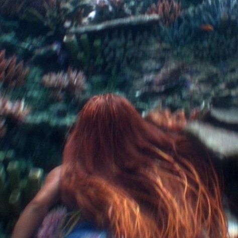 myo ✧ | new industry plant on Twitter: "arielcore https://t.co/f3nNJemU7Z" / Twitter Ariel The Little Mermaid Aesthetic, Ariel Halle Bailey, The Little Mermaid Aesthetic, Live Action Little Mermaid, Little Mermaid Aesthetic, Ariel Icon, Ariel Aesthetic, The Little Mermaid 2023, Little Mermaid Live Action