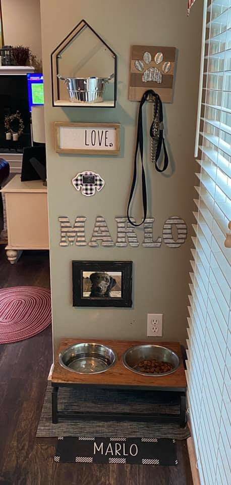 Dog Sunroom Ideas, Dog Organizer Ideas, Small Dog Corner Ideas, Dog Room Decor Small Spaces, Dog Corner In Kitchen, Dog Home Ideas Indoor, Dog Set Up In Small Apartment, Pet Eating Area, Dog Accessories Organization