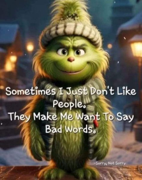 Funny Mean Quotes, Der Grinch, Grinch Quotes, Funny Day Quotes, Funny Animals With Captions, Good Morning Funny Pictures, Funny Cartoons Jokes, Funny Good Morning Quotes, Morning Quotes Funny