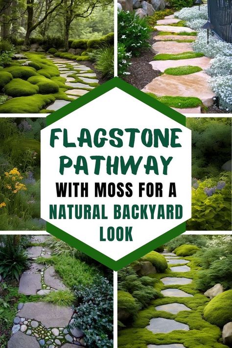 Backyard Walkway Ideas Backyard Walkway Ideas, Flagstone Garden, Natural Backyard, Charming Backyard, Flagstone Pathway, Flagstone Walkway, Flagstone Path, Creative Backyard, Backyard Walkway