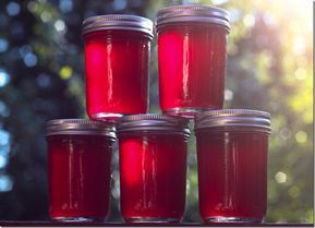 Plum Jelly Pomegranate Jelly, Over The Kitchen Sink, Summer Fruit Recipes, Canning Jam Recipes, Canning Vegetables, Canning Jam, Homemade Jelly, Plum Jam, Jam And Jelly