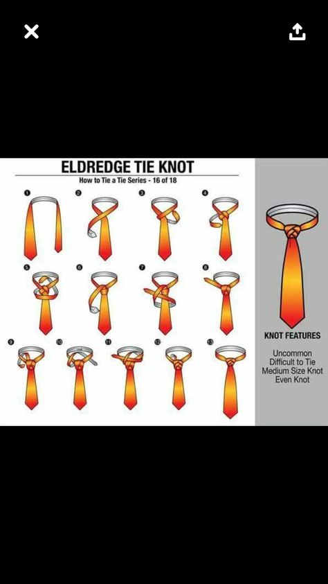 Best Girlfriend Award, Eldridge Knot, Eldredge Knot, Style Chart, Best Girlfriend, Knot Tie, Trinity Knot, Guy Stuff, Tie Knots