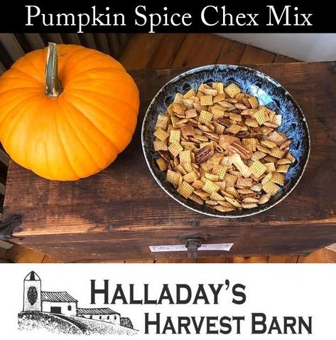 Pumpkin Spice Chex Mix Chex Mix Recipes Autumn, Fall Chex Mix Recipes Pumpkin Spice, Pumpkin Spice Chex Mix Recipe Crock Pot, Pumpkin Spice Snack Mix {chex Mix}, Check Party Mix Chex Cereal, Corn Flakes Cereal, Bacon Seasoning, Cereal Mix, Cheesecake Mix