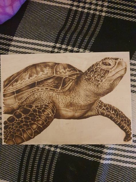 Aquatic turtle,wood burned  pyrography. Wood Burning Animals, Animal Wood Burning, Pyrography Animals, Woodburning Crafts, Woodburning Art, Pyrography Ideas, Pyrography Designs, Wood Burning Techniques, Wood Burn Designs