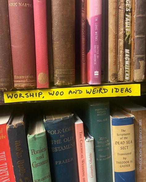 I found this in a random bookshop and i don’t think I’ve seen a better organising system #books #bookshop #aesthetic #darkacademia #academia #lightacademia #chaotic academia Chaotic Genius Aesthetic, Chaotic Acedima Aesthetic, Colorful Academia Aesthetic, Acedima Aesthetic, Organised Aesthetic, Bookshop Aesthetic, Colorful Academia, Chaotic Aesthetic, Chaotic Academia Aesthetic